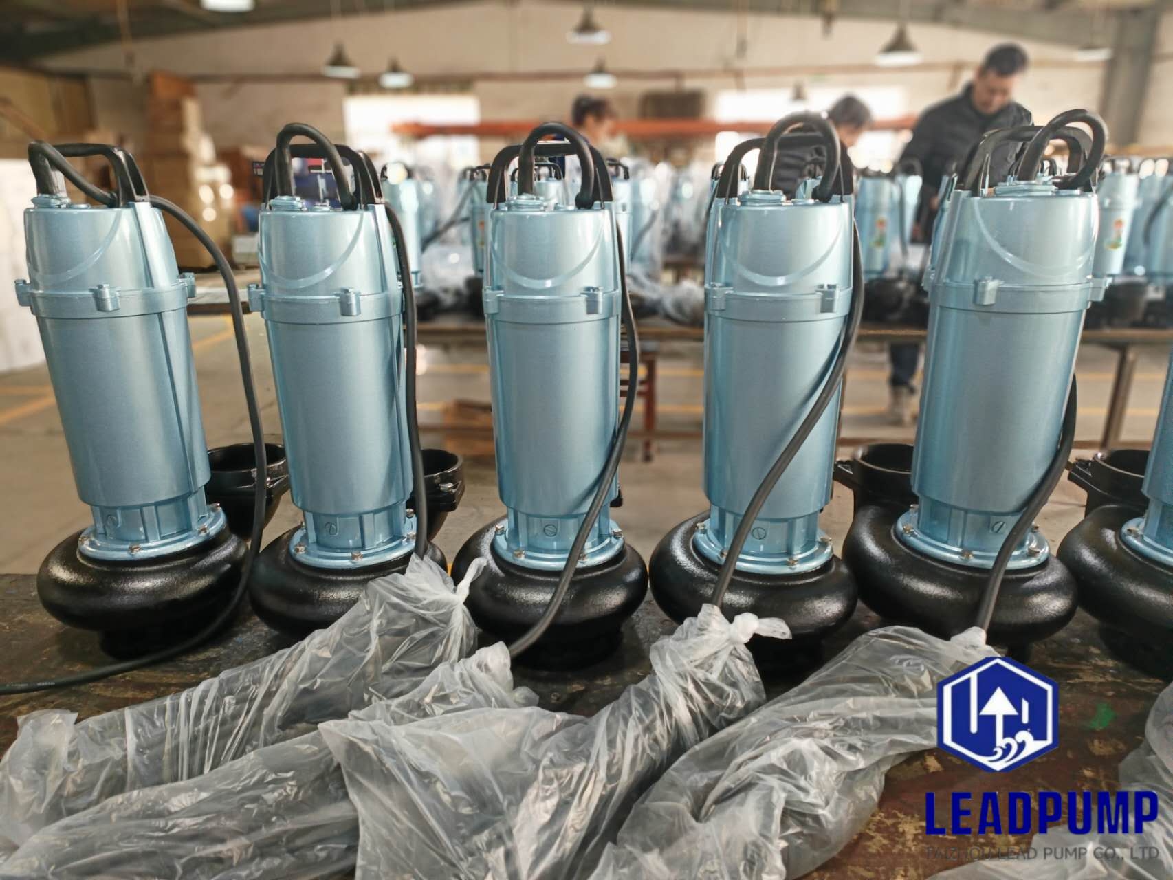 Taizhou Lead Pump Co., Ltd completa la producción de nuevas bombas sumergibles para un cliente de Middle East