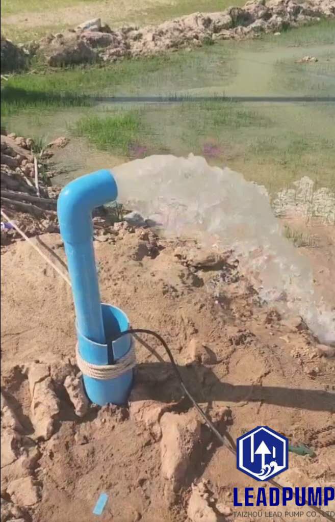 Bomba híbrida solar en acción: ¡la granja de Filipinas!