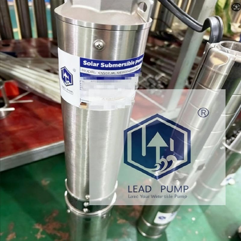 Empoderando a África Oriental: bombas avanzadas para pozos profundos alimentadas por energía solar enviadas con éxito